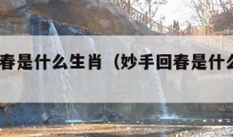 妙手回春是什么生肖（妙手回春是什么生肖2022）