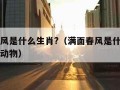 满面春风是什么生肖?（满面春风是什么生肖打一肖动物）