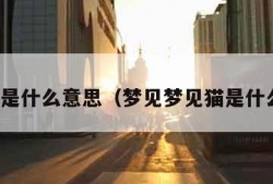 梦见猫是什么意思（梦见梦见猫是什么意思）