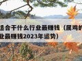 属鸡的适合干什么行业最赚钱（属鸡的适合干什么行业最赚钱2023年运势）