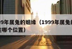 1999年属兔的姻缘（1999年属兔的姻缘在哪个位置）