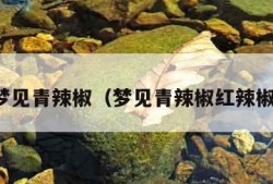 梦见青辣椒（梦见青辣椒红辣椒）