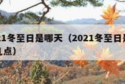 2021冬至日是哪天（2021冬至日是哪天几点）