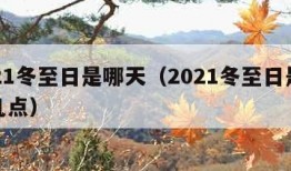 2021冬至日是哪天（2021冬至日是哪天几点）