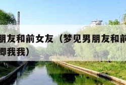 梦见男朋友和前女友（梦见男朋友和前女友在一起卿卿我我）