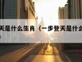 一步登天是什么生肖（一步登天是什么生肖说的牛字）