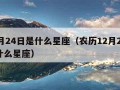 12月24日是什么星座（农历12月24日是什么星座）