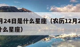 12月24日是什么星座（农历12月24日是什么星座）