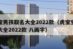 虎宝宝男孩取名大全2022款（虎宝宝男孩取名大全2022款 八画字）