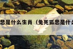 兔死狐悲是什么生肖（兔死狐悲是什么生肖?动物）